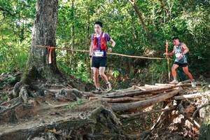 BIB: 
                            <button type="button" onclick="openModal(27552068)" class="btn btn-primary btn-sm float-right btn-popup" data-toggle="modal" data-target=".modal-high-quality">
                        <i class="fas fa-shopping-cart"></i> Add to Cart
                    </button>
                                            <button type="button" onclick="isThisMe(27552068, true)" class="btn btn-success btn-sm float-right btn-popup btn-isme hidden" data-toggle="tooltip" data-placement="bottom" title="นี่คือรูปของคุณใช่ไหม คลิกที่นี่เพื่อเอาเข้าอัลบั้ม">
                        <i class="fas fa-plus"></i> Add to album
                    </button>
                    <button type="button" onclick="isThisMe(27552068, false)" class="btn btn-warning btn-sm float-right btn-popup btn-isnotme hidden">
                        <i class="fas fa-ban"></i> Remove from album
                    </button>